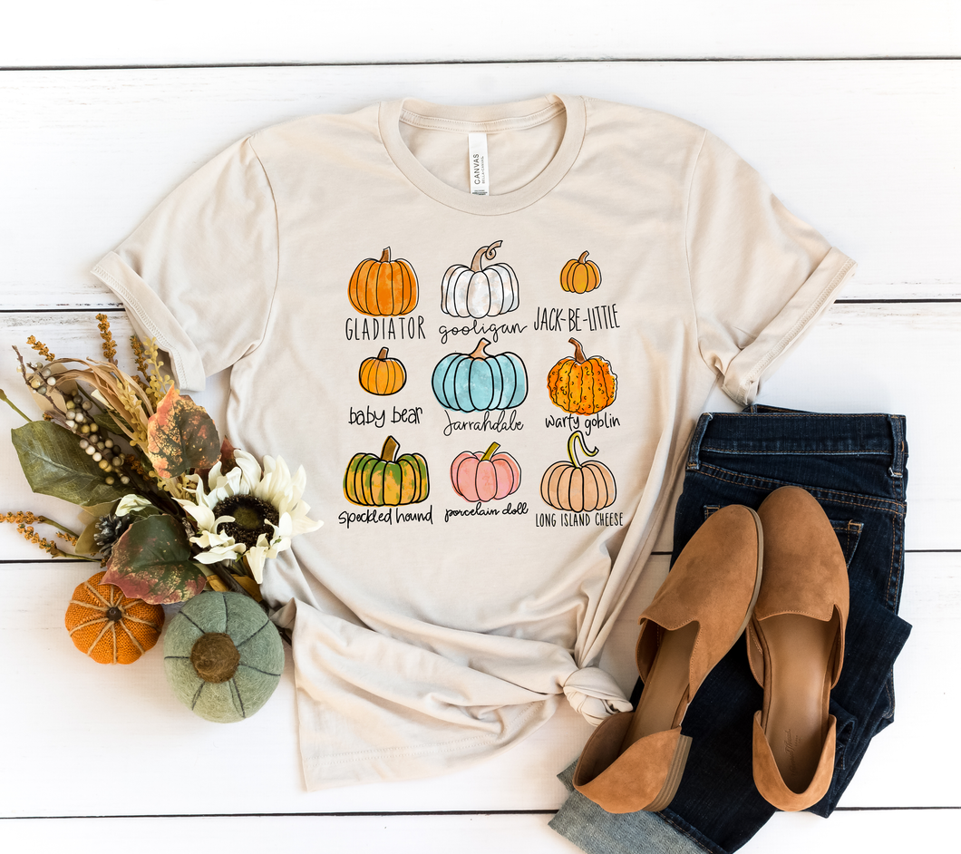 Screen Print Fall Pumpkin Unisex Shirt