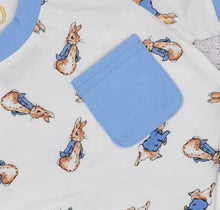 Peter Rabbit Girl Sibling Easter Bunny Pajamas