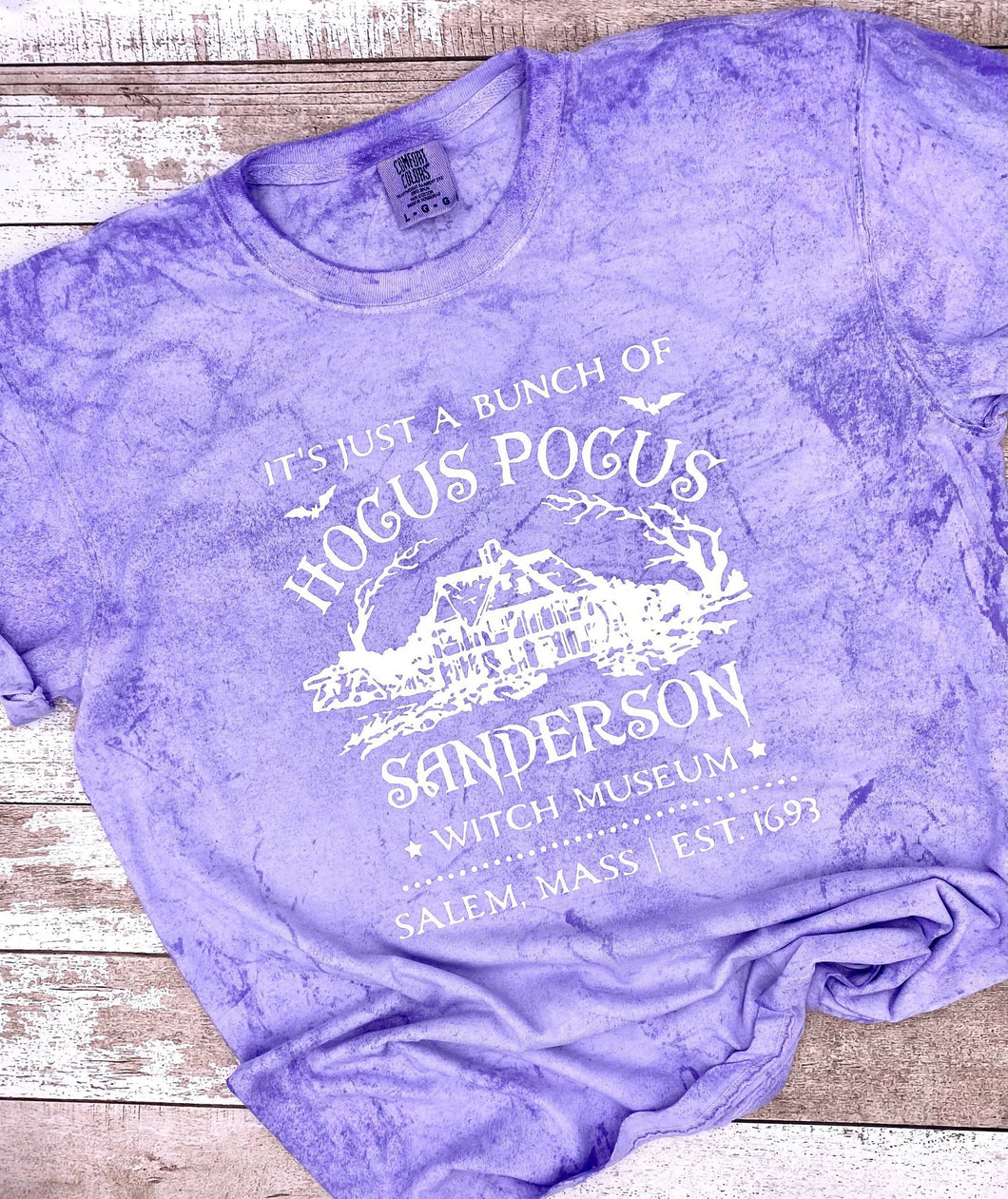 Sanderson Sisters Hocus Pocus Witch Museum Screen Print Adult Halloween Shirt